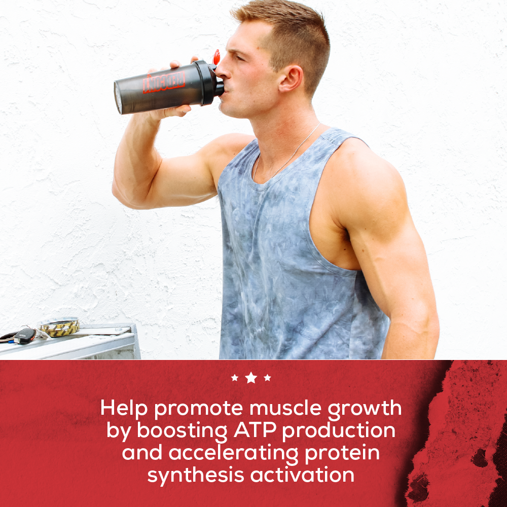 REDCON1 TANGO CREATINE RECOVERY SOLUTION 30 Servings - Image 4