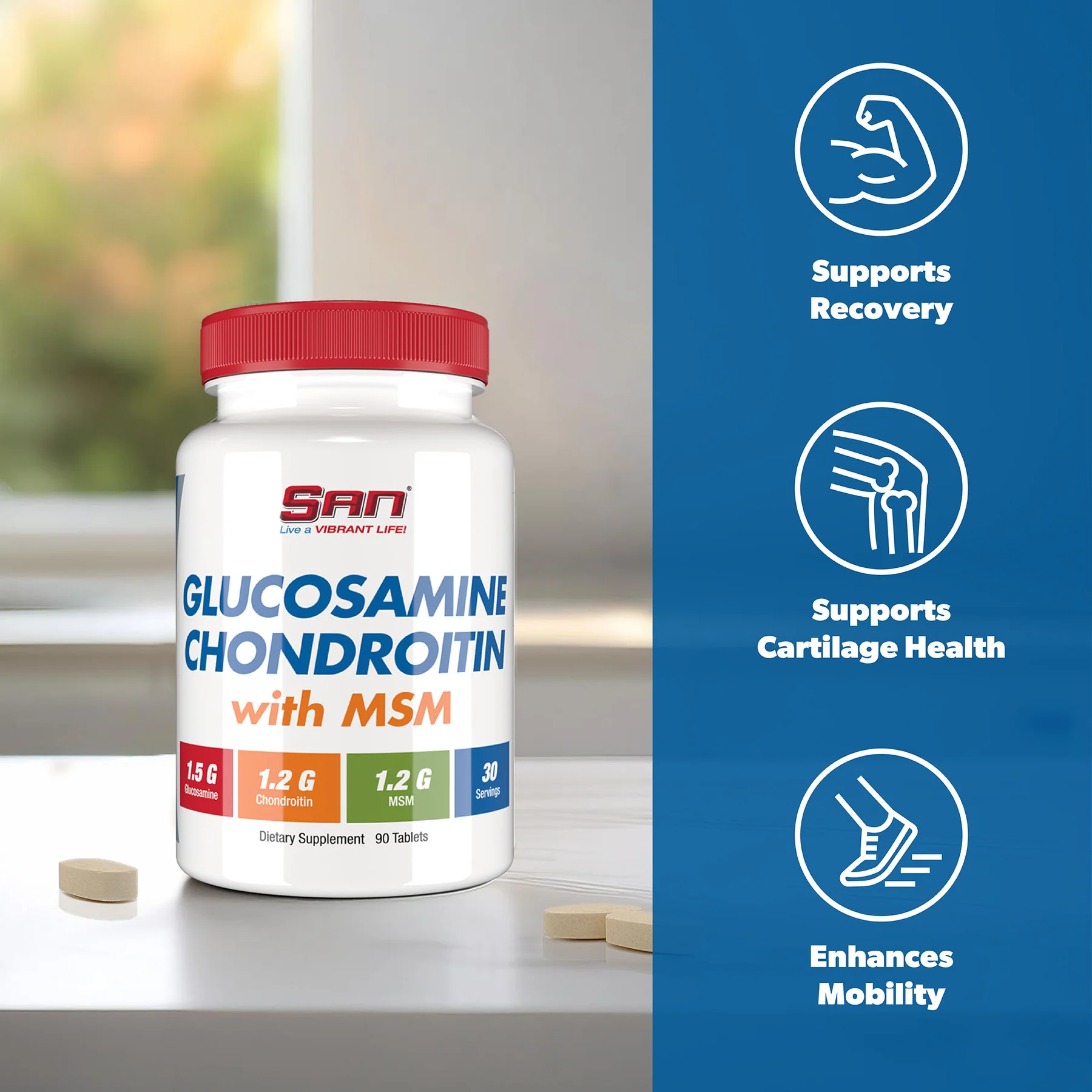 SAN GLUCOSAMINE CHONDROITIN With MSM 90 Tablets - Image 3