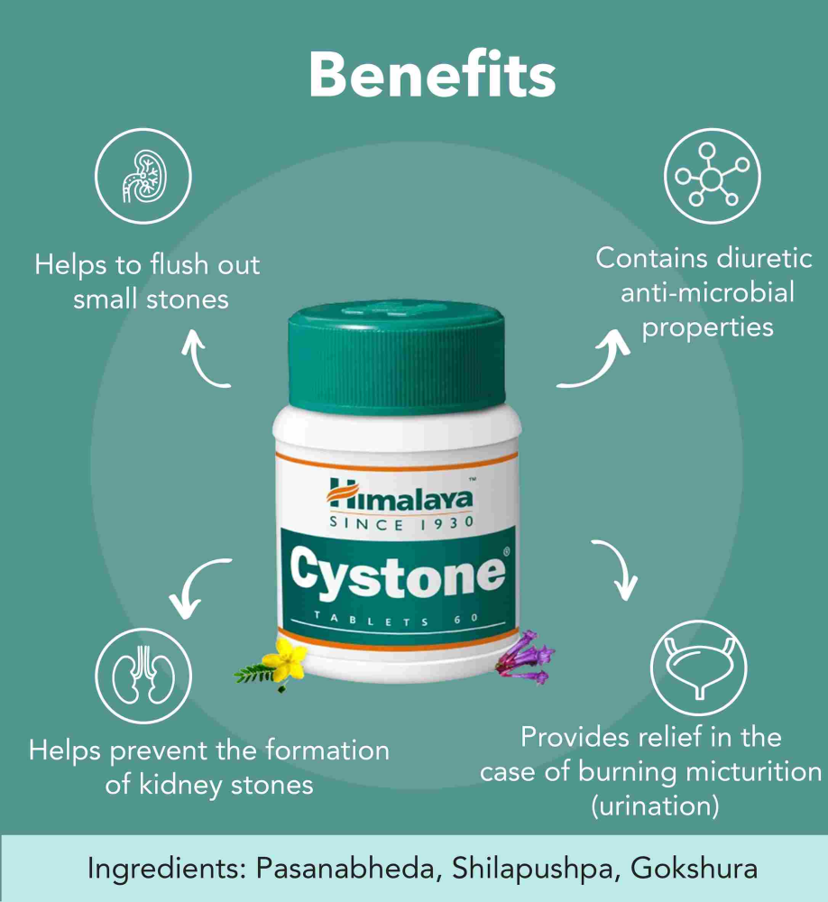 Urinary support supplement Cystone by Himalaya