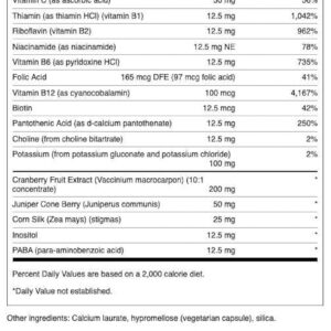 Kidney support supplement Kidney Essentials by Swanson